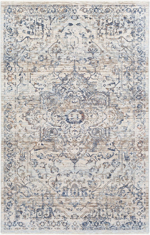 Livabliss Palazzo Viscose Polyester Traditional Area Rug with High Low Pile Lustrous Sheen PZL2304-335
