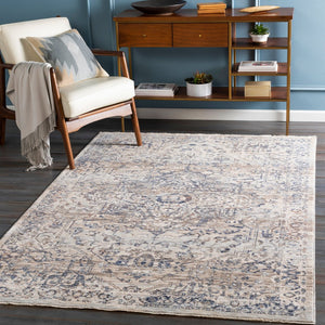 Livabliss Palazzo Viscose Polyester Traditional Area Rug with High Low Pile Lustrous Sheen PZL2304-335