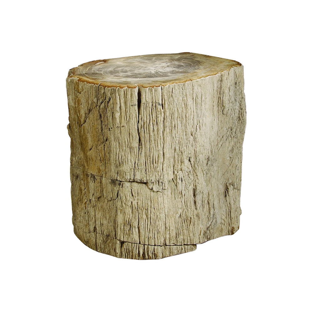 Bernhardt Bernhardt Petrified Wood Side Table — One-Of-A-Kind Fossilized Stump Accent With Rich Mineral Grain (19.5"H) 319712