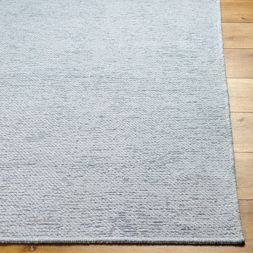 Livabliss Quebec Chenille Polyester Runner Rug Soft Low Pile Washable Hall and Entryway Light Sage 2'8" x 7'3" QBC2300-2773