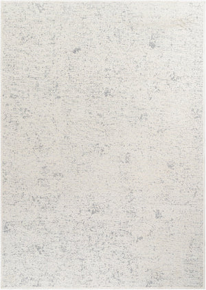 Livabliss Quebec Chenille Polyester Area Rug Machine Woven in Turkey Soft Low Pile Living Room QBC2301-9212
