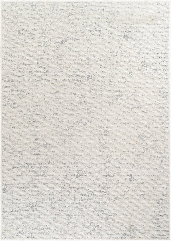 Livabliss Quebec Chenille Polyester Area Rug Machine Woven in Turkey Soft Low Pile Living Room QBC2301-9212