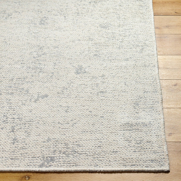 Livabliss Quebec Chenille Polyester Area Rug Machine Woven in Turkey Soft Low Pile Living Room QBC2301-9212