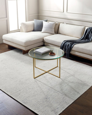 Livabliss Quebec Chenille Polyester Area Rug Machine Woven in Turkey Soft Low Pile Living Room QBC2301-9212