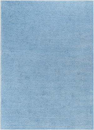Livabliss Quebec Chenille Polyester Runner Rug Soft Low Pile for Hallway or Entryway Pale Blue, Ligh 9'2" x 12' QBC2304-9212