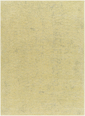Livabliss Quebec Soft Chenille Runner Rug Machine Woven in Turkey for Hallways and Entryways Grass Green, Ta 9'2" x 12' QBC2306-9212