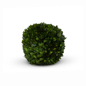 Preserved Boxwood Ball, 8" EBD80083 Park Hill
