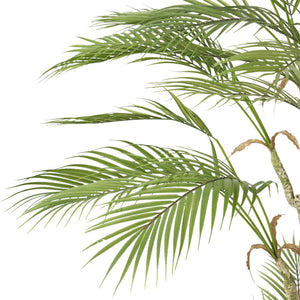 English Elm 165cm Artificial Palm Tree Faux Tropical Floor Plant with Flexible Iron Frame 70546.00