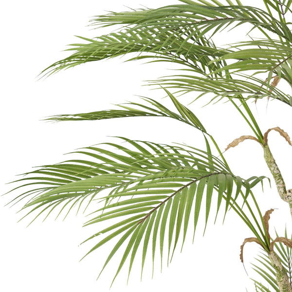 English Elm 165cm Artificial Palm Tree Faux Tropical Floor Plant with Flexible Iron Frame 70546.00