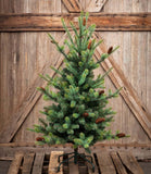 Park Hill Blue Spruce Christmas Tree, 4.5' XPQ82163 Park Hill