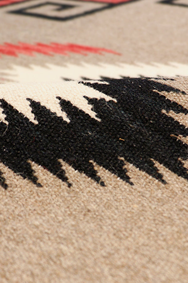 Pasargad Pasargad Home Tuscany Reversible Flatweave Wool Rug With Geometric Tribal Motifs PNT-237 10x14