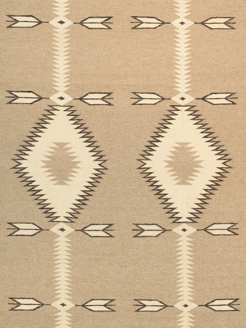 Pasargad Pasargad Tuscany Reversible Flatweave Wool Rug Tribal Geometric For Living Rooms PNT-240 9x12