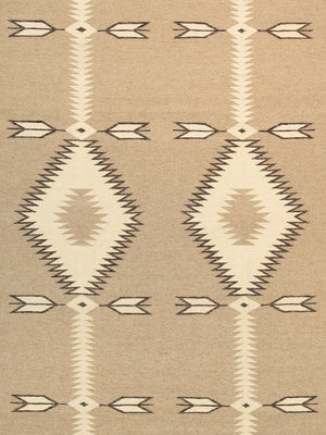 Pasargad Pasargad Tuscany Reversible Flatweave Wool Rug Tribal Geometric For Living Rooms PNT-240 9x12