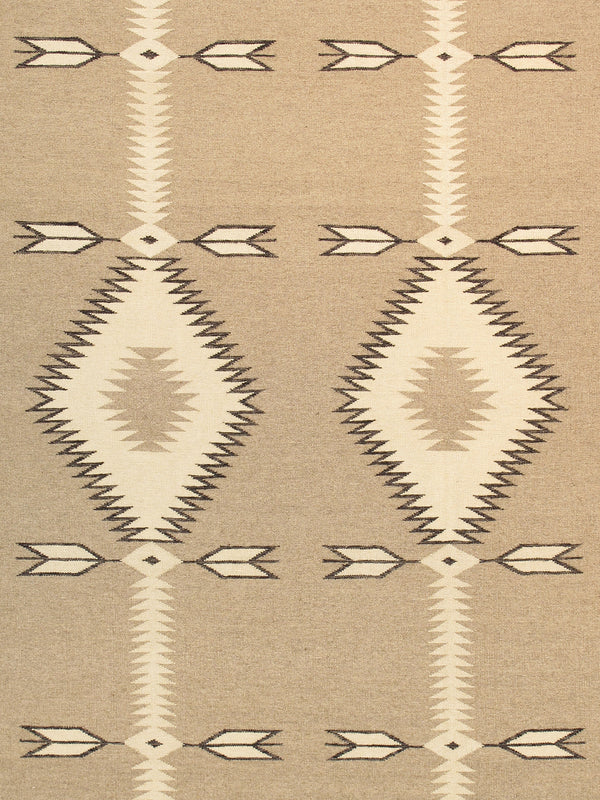 Pasargad Pasargad Tuscany Reversible Flatweave Wool Rug Tribal Geometric For Living Rooms PNT-240 9x12