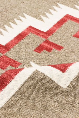 Pasargad Pasargad Home Tuscany Reversible Wool Flatweave Rug Tribal Geometric Living Room Accent PNT-399 9x12