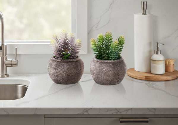Monarch Specialties Artificial Succulent Pair In Cement Pots — Realistic Low-Maintenance DéCor For Tables & Shelves GREEN,BROWN I 9364