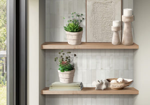Monarch Specialties Artificial Succulent Set Of 2 For Tabletop DéCor — Realistic Low-Maintenance Plants In Cement Pots, Modern Warranty GREEN,BEIGE I 9365