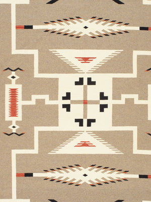 Pasargad Pasargad Home Tuscany Reversible Flatweave Wool Rug Tribal Geometric Living Room Accent PNT-401 9x12