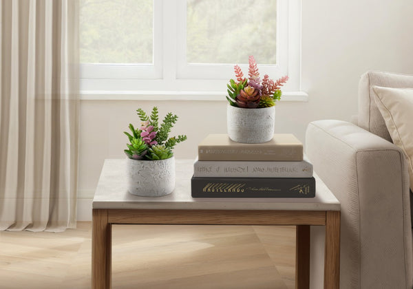 Monarch Specialties Artificial Succulent Duo In Grey Cement Pots — Lifelike 9" Tabletop Plants, Low-Maintenance Chic, Eco-Friendly Warranty GREEN,WHITE I 9366
