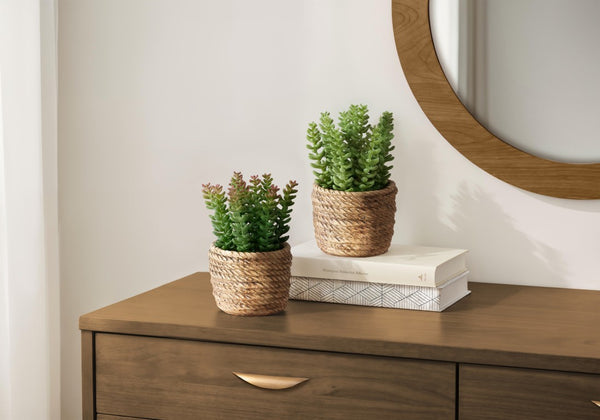Monarch Specialties Artificial Succulent Duo For Tabletop Decor — Lifelike Low-Maintenance Plants In Cement Pots, Modern GREEN,BROWN I 9367