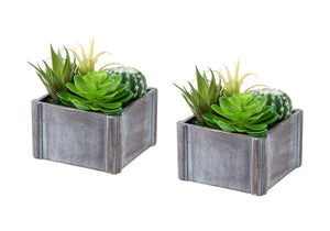 Monarch Specialties Artificial Plant Set Of Two Succulents In Grey Wooden Pots — Lifelike 8" Table Accents, Low-Maintenance Decor, Durable Materials, 5-Year Warranty GREEN,BROWN,WHITE I 9370