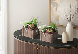 Monarch Specialties Artificial Succulent Duo In Wooden Pots For Tables Desks Shelves — Lifelike Low‑Maintenance Style, 10" GREEN,BROWN,WHITE I 9371