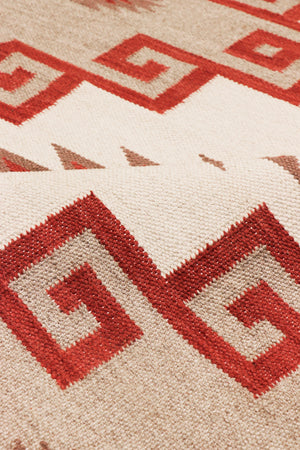 Pasargad Pasargad Tuscany Reversible Flatweave Wool Rug Geometric Tribal Artisan Woven Accent PNT-409 4x6