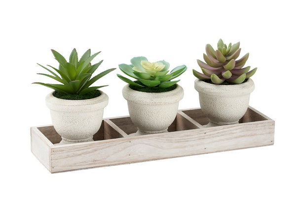 Monarch Specialties Artificial Succulent Trio On Light Wood Tray — Lifelike 6" Tabletop Plants In Beige Pots, Modern Decor GREEN,NATURAL I 9373