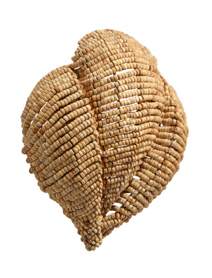 Jamie Young Co. Anguilla Natural Mango Wood Beaded Wall Sconce With Antique Brass Backplate, Handcrafted Coastal Flair 16.5"H x 14.5"W x 6.5"D 4ANGU-SCNA