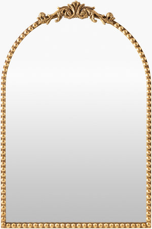 Livabliss Aarlen Traditional Framed Wall Mirror Vertical Accent for Entryway or Bedroom Gold 30"H x 20"W x 2"D RAL004-3020
