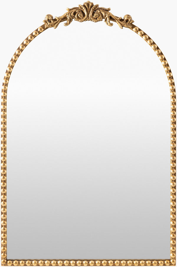 Livabliss Aarlen Traditional Framed Wall Mirror Vertical Accent for Entryway or Bedroom Gold 30"H x 20"W x 2"D RAL004-3020
