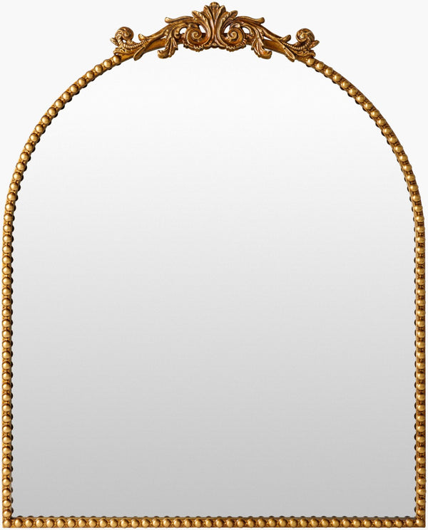 Livabliss Aarlen Traditional Framed Wall Mirror Vertical Accent for Entryway or Bedroom Gold 36"H x 29"W x 2"D RAL004-3629