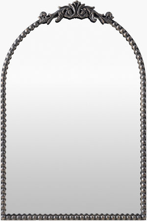Livabliss Aarlen Traditional Framed Wall Mirror Low Profile Accent for Entryway or Bedroom Black 30"H x 20"W x 2"D RAL005-3020