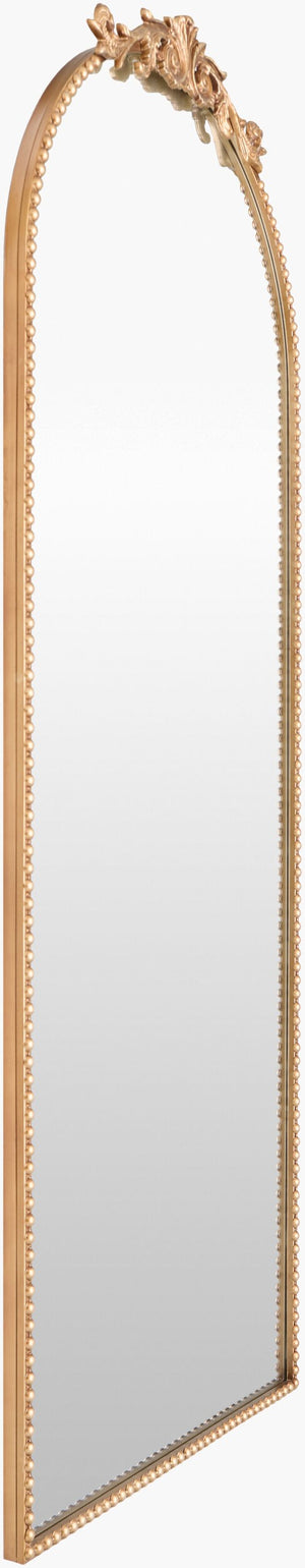 Surya Aarlen Traditional Full-length Mirror - Elegant 70"H X 28"W Wall Decor For Timeless Home Charm Frame, Gold Iron Ral007-7028