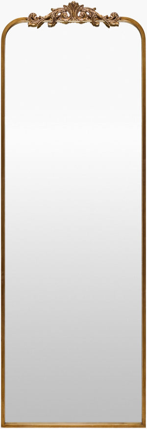 Livabliss Aarlen Tall Narrow Wall Mounted Full Length Mirror with Traditional Framed Entryway Design Gold 65"H x 22"W x 2"D RAL008-6522