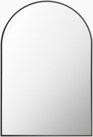 Livabliss Aranya Slim Rectangular Wall Mirror Minimalist Frame for Entryway Hallway Bedroom Black 30"H x 20"W x 1"D RAY001-2030