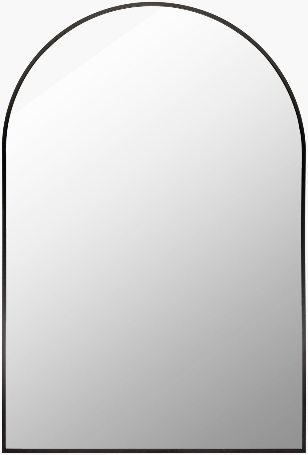 Livabliss Aranya Slim Rectangular Wall Mirror Minimalist Frame for Entryway Hallway Bedroom Black 30"H x 20"W x 1"D RAY001-2030
