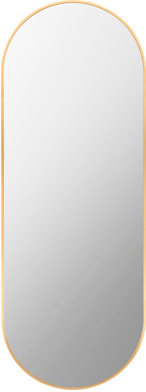 Aranya RAY-020 65"H x 22"W x 1"D Accent Mirror RAY020-2265 Livabliss Surya