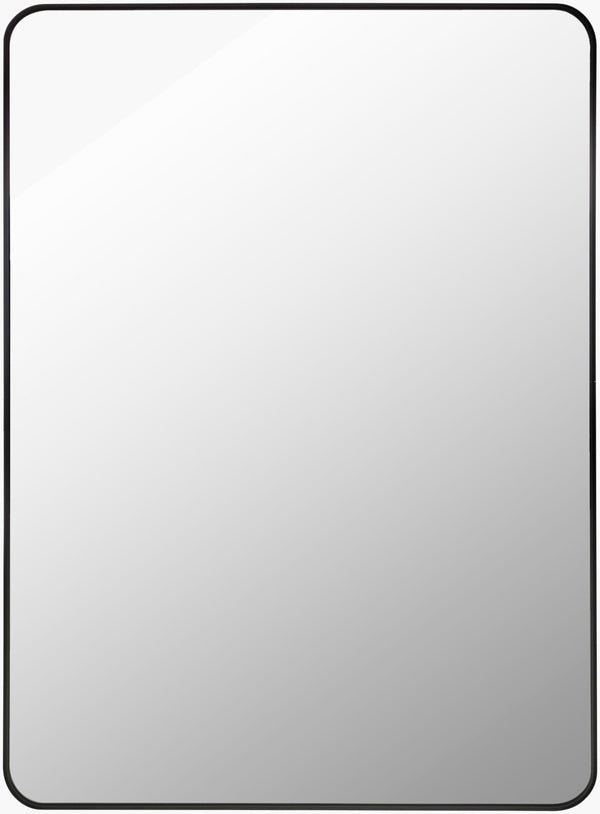 Livabliss Aranya Geometric Wall Mirror Slim Profile Accent Piece for Minimalist Modern Interiors Black 41"H x 30"W x 1"D RAY023-3041