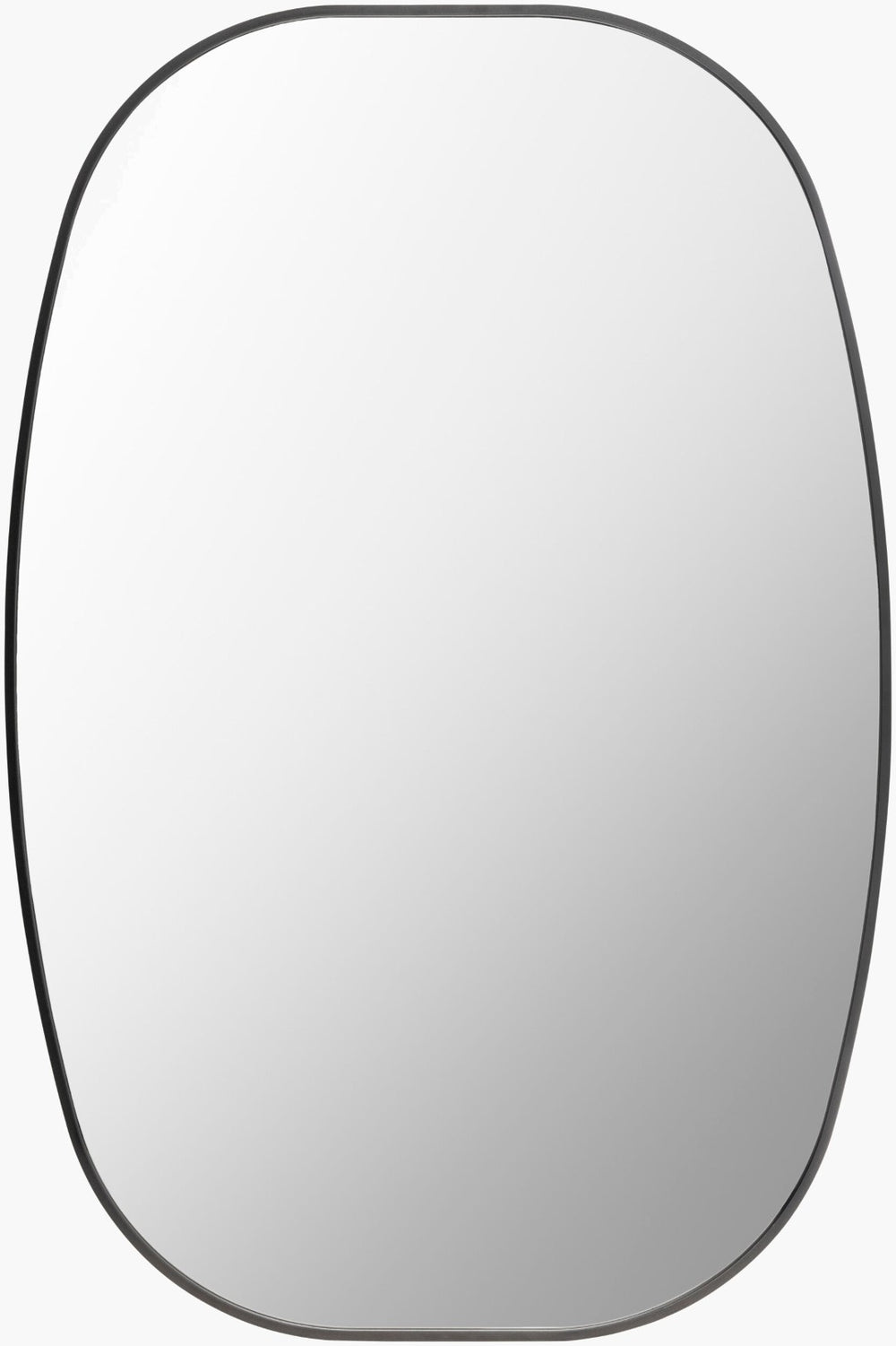 Livabliss Aranya Wall Mounted Accent Mirror Minimalist Slim Profile for Entryway or Living Room Black 41"H x 30"W x 1"D RAY035-3041