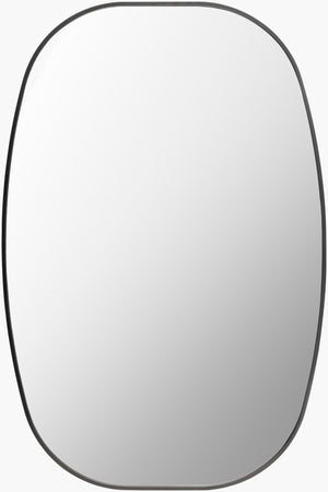 Livabliss Aranya Wall Mounted Accent Mirror Minimalist Slim Profile for Entryway or Living Room Black 35"H x 24"W x 1"D RAY035-2435