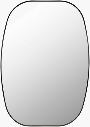 Livabliss Aranya Wall Mounted Accent Mirror Minimalist Slim Profile for Entryway or Living Room Black 41"H x 30"W x 1"D RAY035-3041