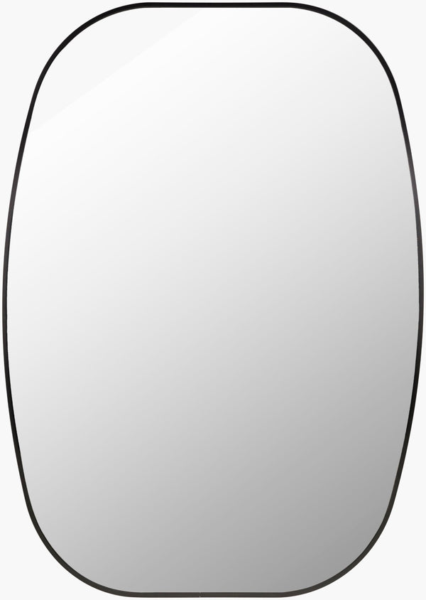 Livabliss Aranya Wall Mounted Accent Mirror Minimalist Slim Profile for Entryway or Living Room Black 41"H x 30"W x 1"D RAY035-3041