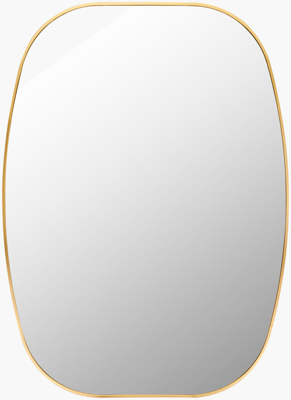 Livabliss Aranya Vertical Wall Mirror Slim Minimalist Frame for Entryway or Console Table Gold 41"H x 30"W x 1"D RAY036-3041