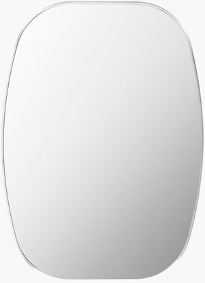 Livabliss Aranya Rectangular Wall Mirror Slim Profile Modern Minimalist Entryway Decor Accent Silver 41"H x 30"W x 1"D RAY037-3041