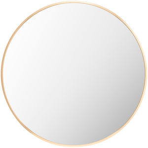 Aranya RAY-039 22"H x 22"W x 1"D Accent Mirror RAY039-2222 Livabliss Surya