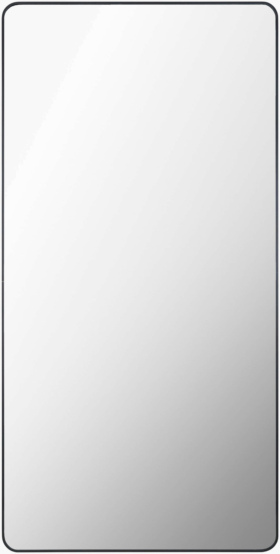 Livabliss Aranya Slim Aluminum Full Length Floor Mirror for Modern and Minimalist Living Spaces Black 72"H x 36"W x 1"D RAY042-3672