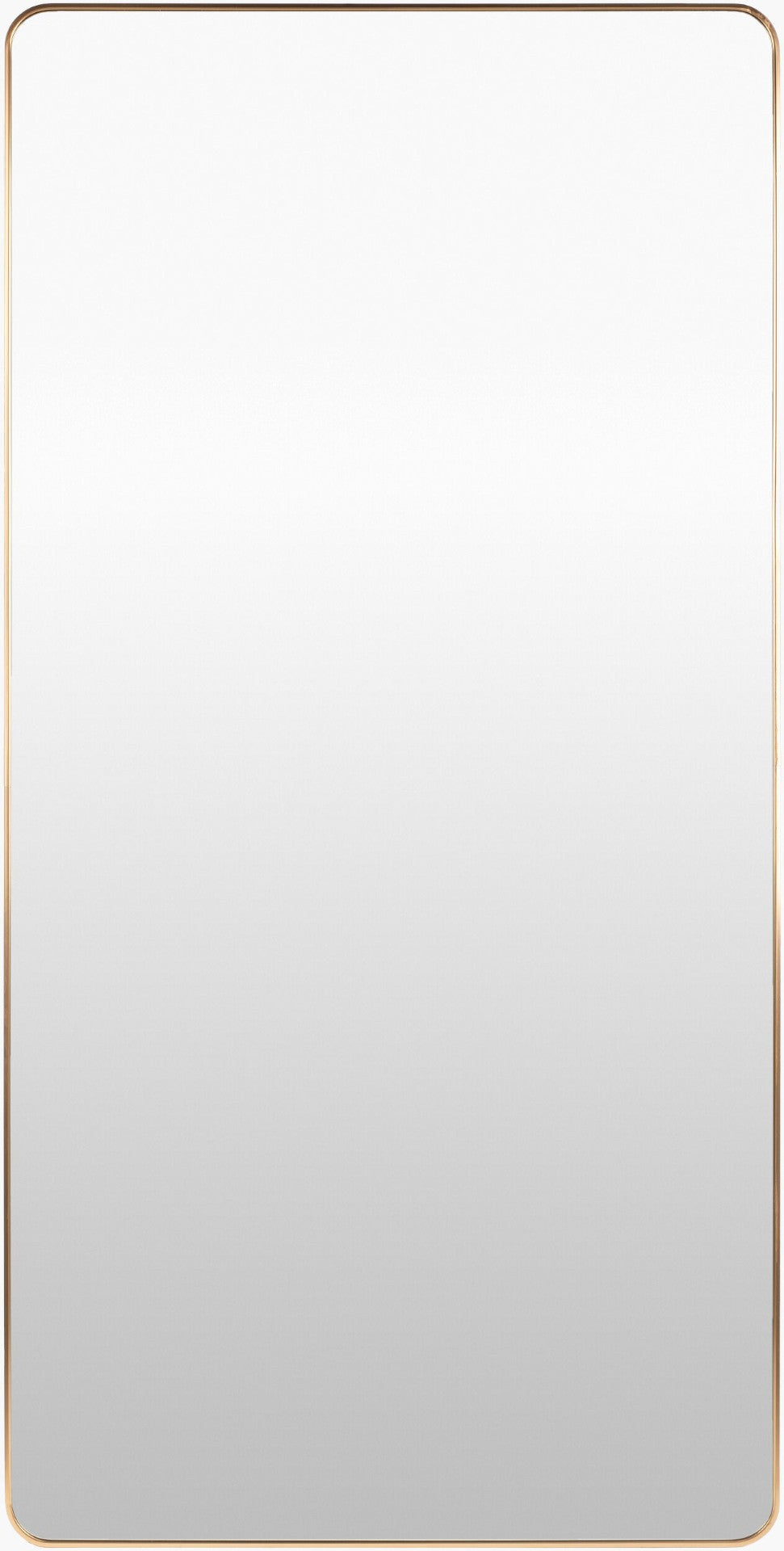 Livabliss Aranya Slim Aluminum Full Length Mirror Tall Architectural Bedroom Entryway Floor Standing Gold 65"H x 22"W x 1"D RAY043-2265