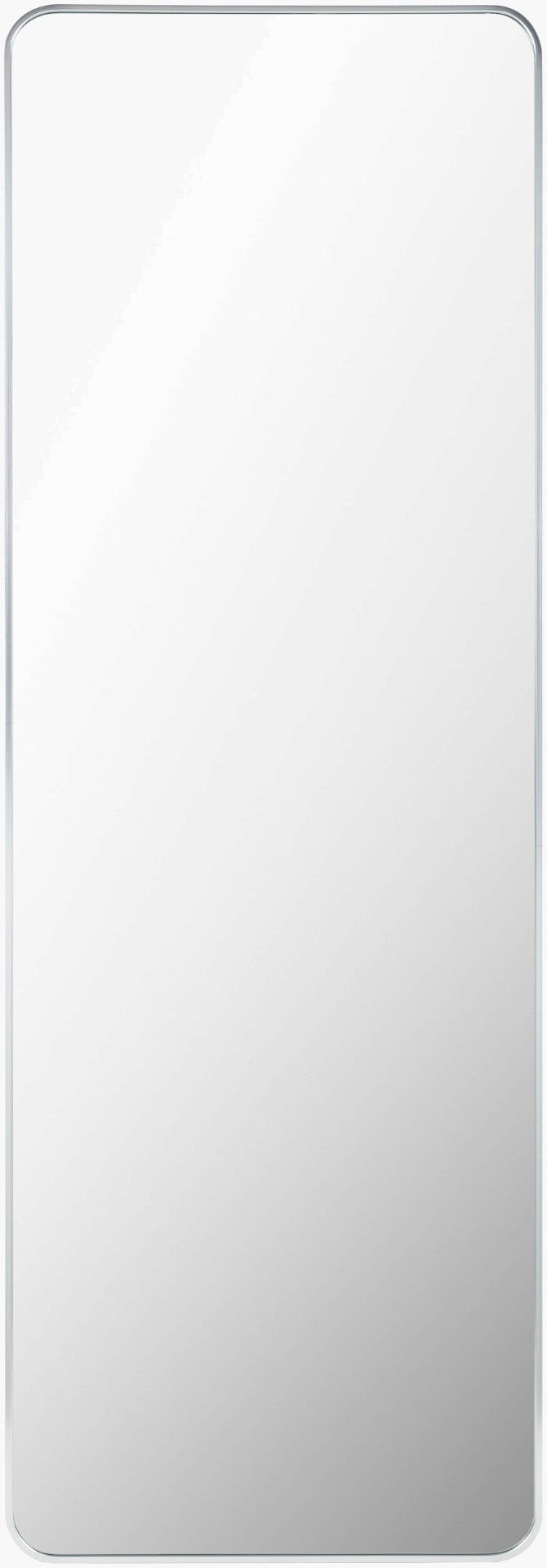 Livabliss Aranya Slim Aluminum Frame Full Length Mirror Tall Vertical Profile for Modern Spaces RAY044-2265