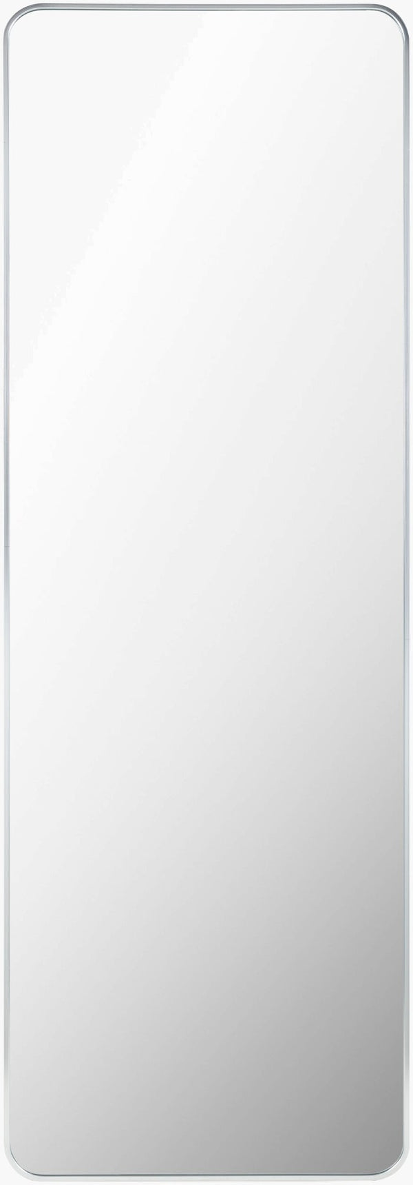 Livabliss Aranya Slim Aluminum Frame Full Length Mirror Tall Vertical Profile for Modern Spaces RAY044-2265